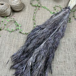 Koyu Gri Kuru Çiçek Kurutulmuş Kuş Dili Otu-YPC-222