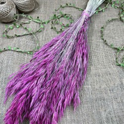 Eflatun Kuru Çiçek Kurutulmuş Kuş Dili Otu-YPC-223