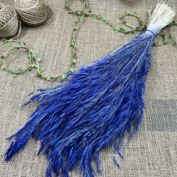 Saks Mavi Kuru Çiçek Kurutulmuş Kuş Dili Otu-YPC-224