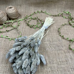 Gri Kuş Otu Palaris Kurutulmuş Çiçek -YPC-226