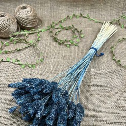 Lacivert Kuş Otu Palaris Kurutulmuş Çiçek -YPC-230