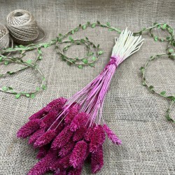 Vişne Rengi Kuş Otu Palaris Kurutulmuş Çiçek -YPC-234