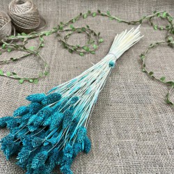 Zümrüt Yeşili Kuş Otu Palaris Kurutulmuş Çiçek -YPC-235