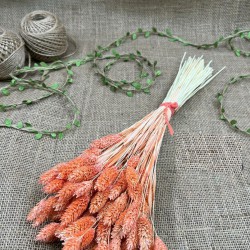 Somon Kuş Otu Palaris Kurutulmuş Çiçek -YPC-236