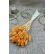 Turuncu Kuş Otu Palaris Kurutulmuş &Ccedil;i&ccedil;ek -YPC-237