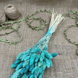 Su Yeşili Kuş Otu Palaris Kurutulmuş Çiçek -YPC-238