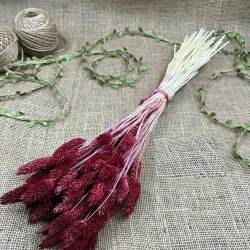 Bordo Kuş Otu Palaris Kurutulmuş Çiçek -YPC-239