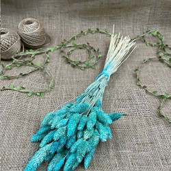 Turkuaz Kuş Otu Palaris Kurutulmuş Çiçek -YPC-242