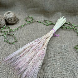 Pudra Şoklanmış Başak Demeti Kuru Çiçek-YPC-250