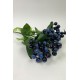 Dekoratif Yapay Çiçek Mavi Kokina Demeti 1 Demet Yapay Bitki 7 Kafalı-YSUS-1033